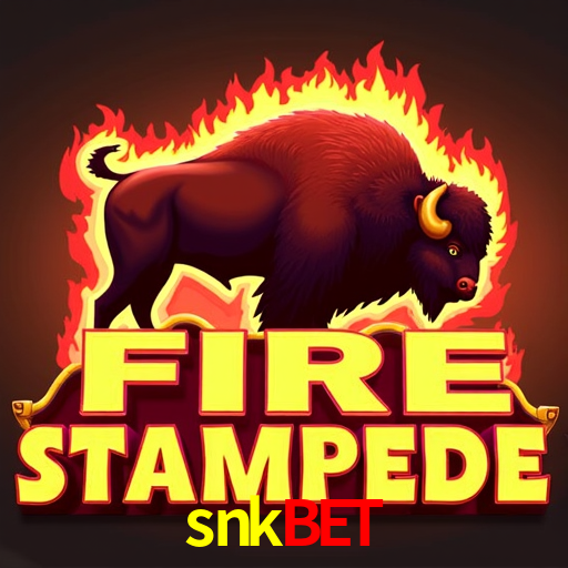 Experiência VIP snkbet